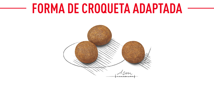Royal Canin Maxi Puppy 3