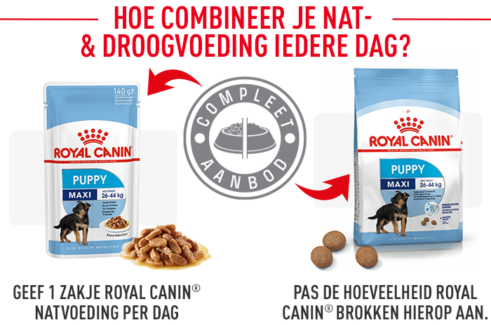 Royal Canin Maxi Puppy Wet