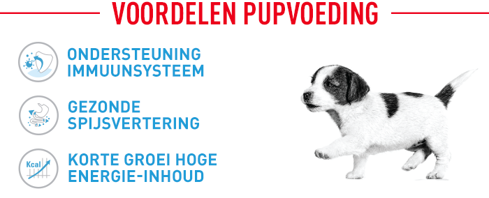 Royal Canin Medium Puppy Wet