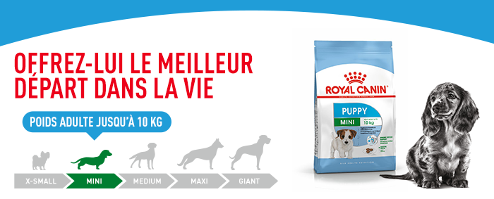 Royal Canin Mini Puppy