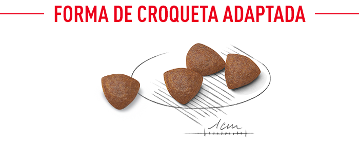 Royal Canin Medium Starter Madre y Cachorro 3