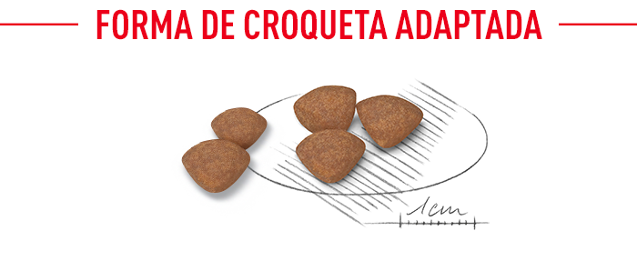 Royal Canin Mini Starter Madre y Cachorro 3