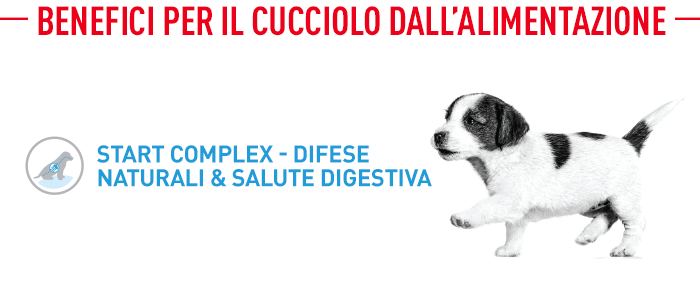 Royal Canin Starter Mousse Mother & Babydog