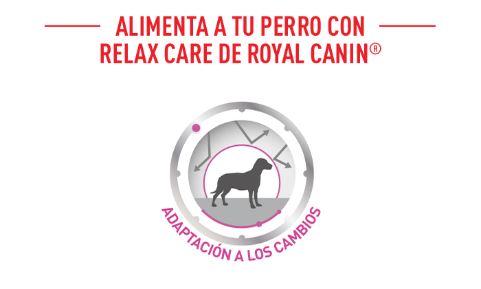 Royal Canin Relax Care comida húmeda para perros