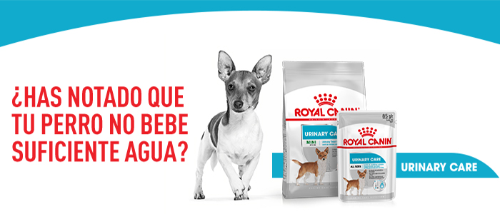 Royal Canin Urinary Care comida húmeda para perros