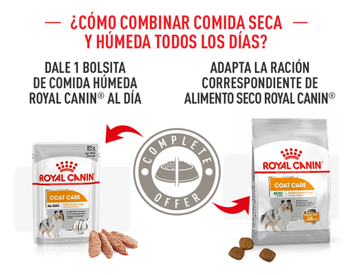 Royal Canin Coat Care comida húmeda para perros