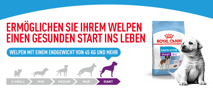 Royal Canin Giant Junior Active