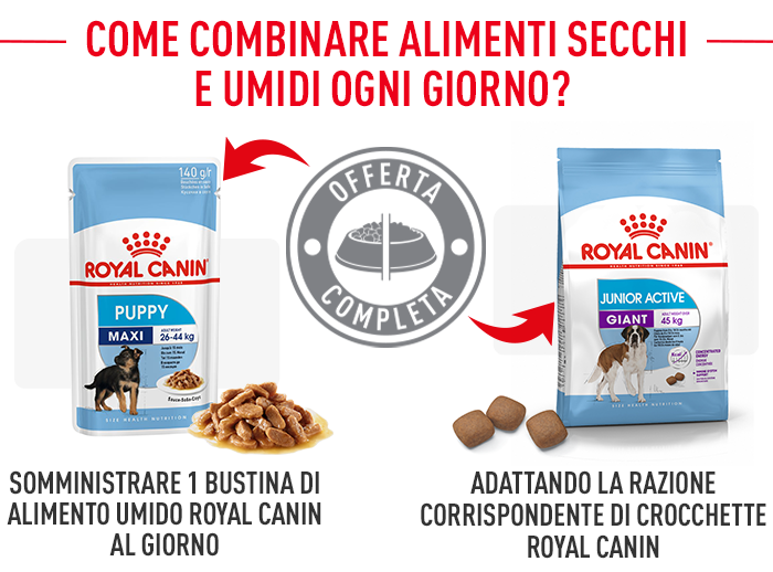 Royal Canin Giant Junior Active