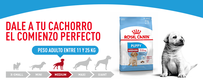 Royal Canin Medium Puppy 1