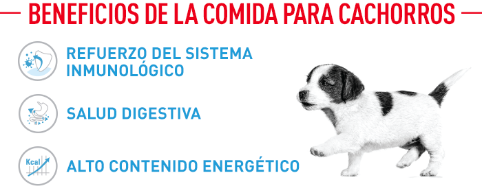 Royal Canin Mini Puppy comida húmeda para perros 2