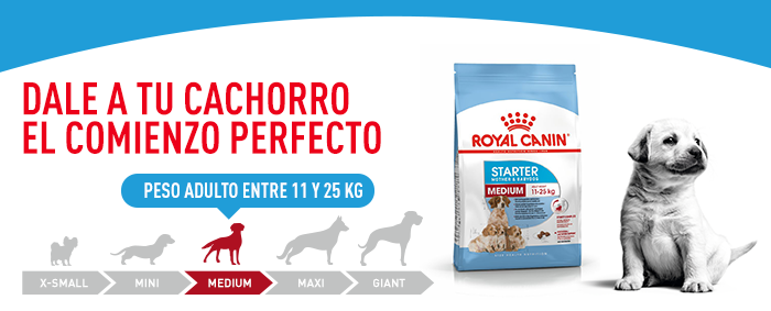 Royal Canin Medium Starter Madre y Cachorro 1