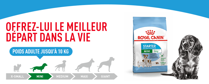 Royal Canin Mini Starter Mother & Babydog