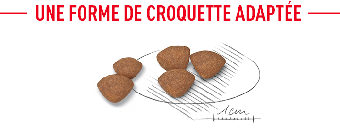 Royal Canin Mini Starter Mother & Babydog