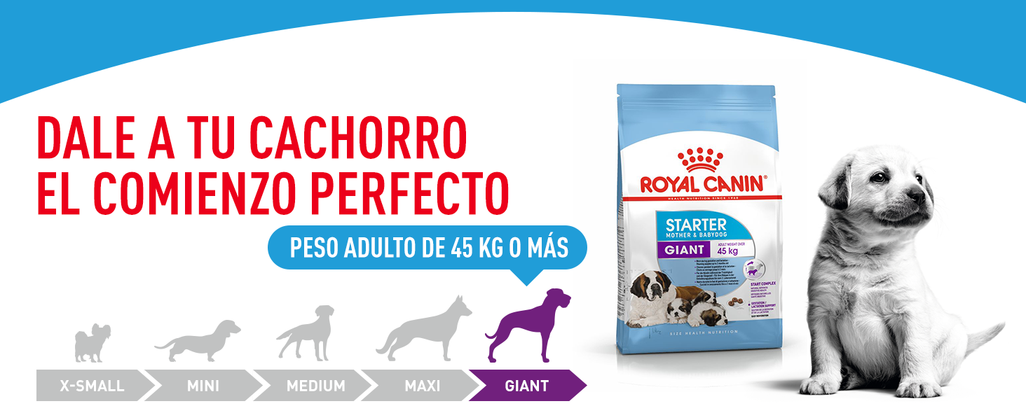STARTER MOTHER & BABYDOG GIANT 1