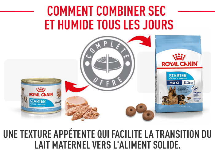 Royal Canin Maxi Starter Mother & Babydog