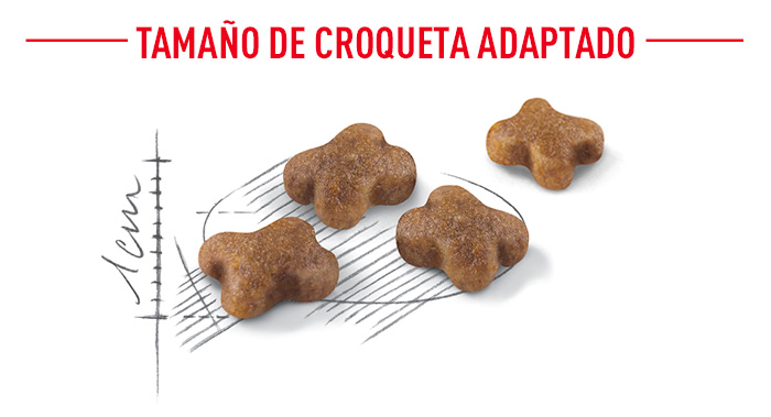 Royal Canin Kitten