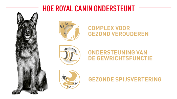 Royal Canin Breed German Shepherd Adult 5+ Hondenvoer 16 Voordelen van het Royal Canin hondenvoer