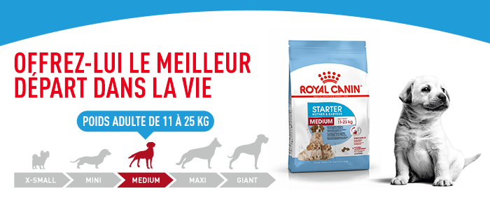 Royal Canin Medium Starter Mother & Babydog