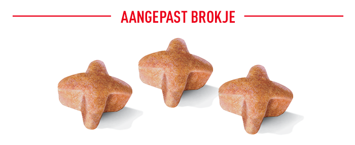 Royal Canin Breed German Shepherd Adult 5+ Hondenvoer 17 Speciaal aangepaste brokken