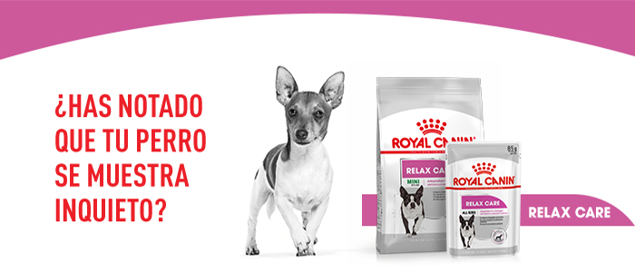 Royal Canin Relax Care comida húmeda para perros