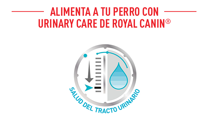 Royal Canin Urinary Care comida húmeda para perros