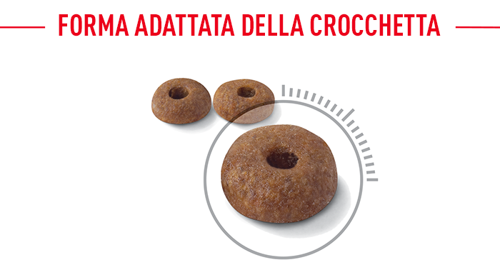 Royal Canin Light Weight Krokettenform
