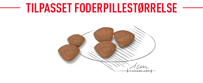 Tilpasset krokette