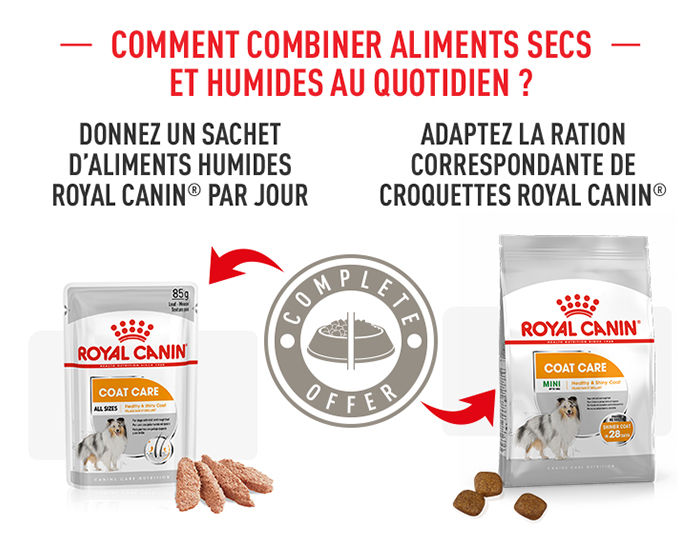 Combiner aliments secs et humides