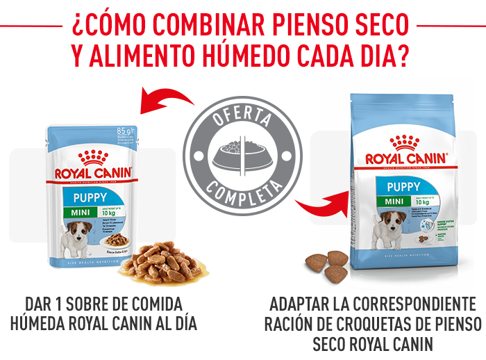 Royal Canin Mini Puppy 4