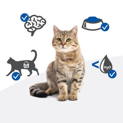 Hill's Prescription Diet s/d Urinary Care