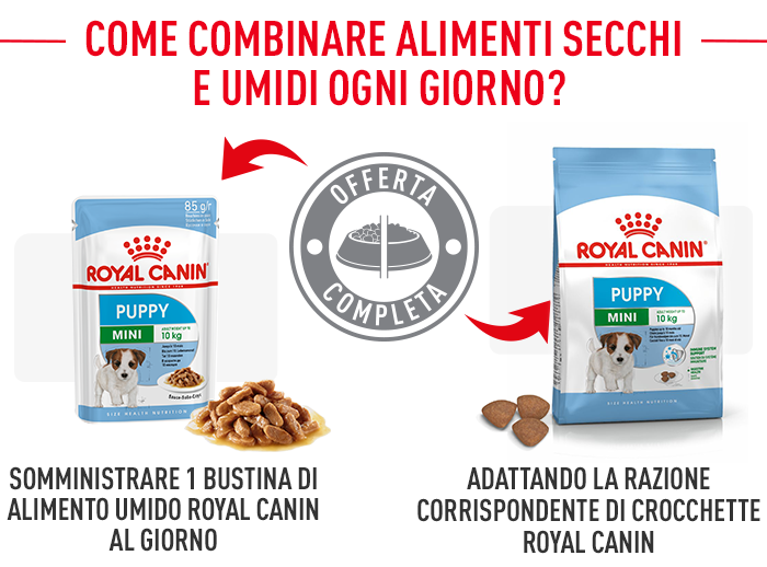 Royal Canin Mini Puppy