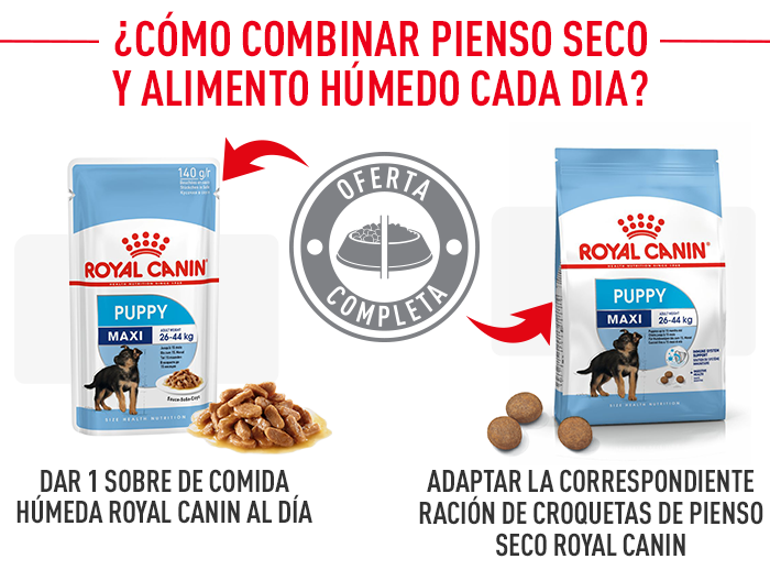 Royal Canin Maxi Puppy 4