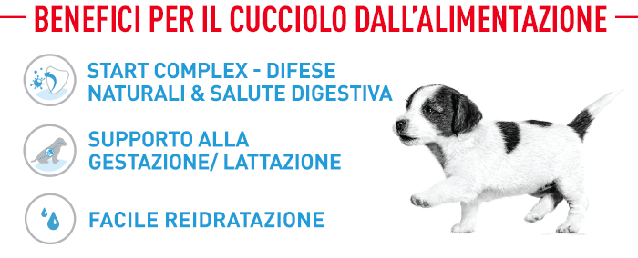 Royal Canin Giant Starter Mother & Babydog