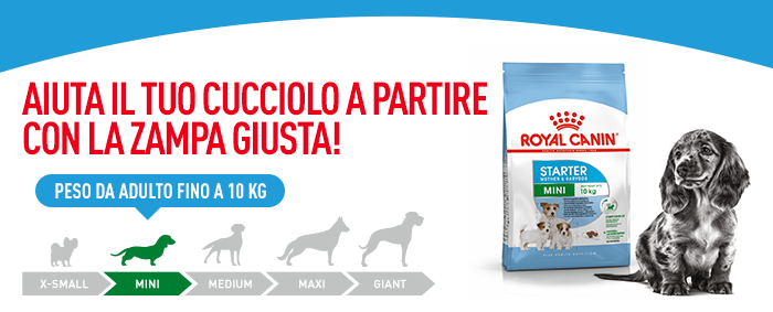 Royal Canin Mini Starter Mother & Babydog