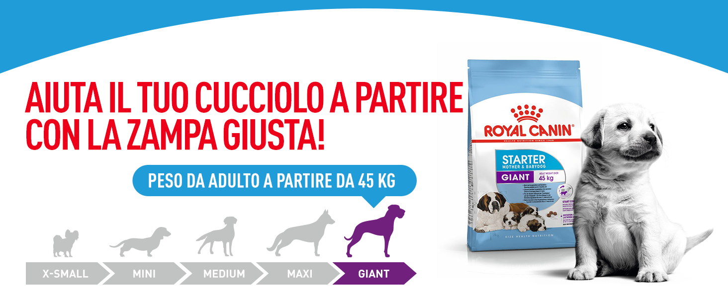 Royal Canin Giant Starter Mother & Babydog