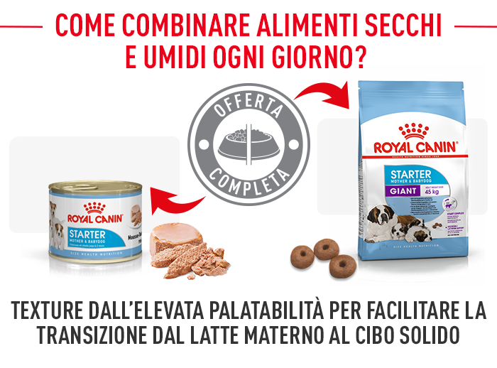 Royal Canin Giant Starter Mother & Babydog