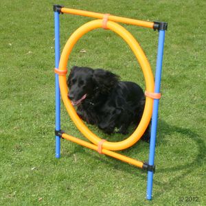 Agility Fun & Sport Sprungring