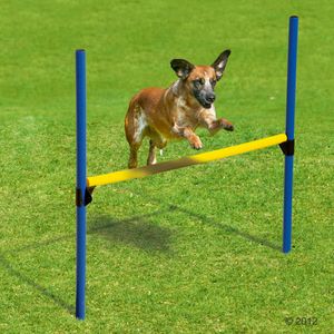 Agility sada prekážok
