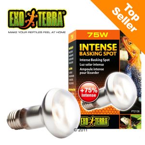 Ampoule lumière du jour Hagen Exo Terra Intense Basking Spot