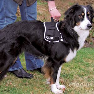 Arnés para perros XDog negro