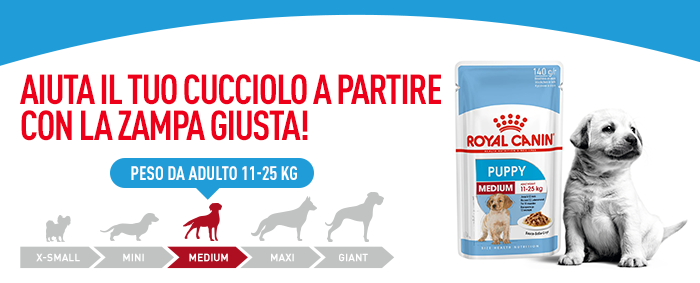 Royal Canin Medium Puppy nass