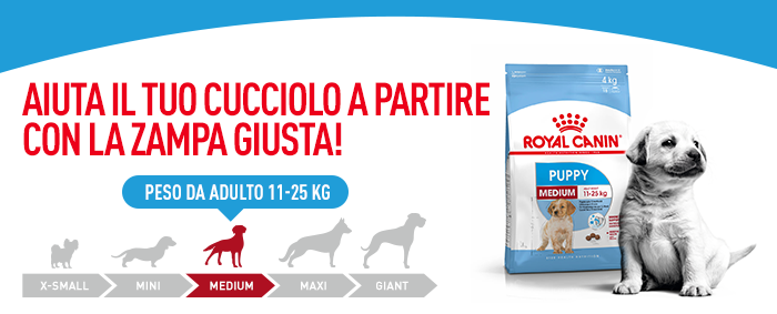 Royal Canin Medium Starter Mother & Babydog