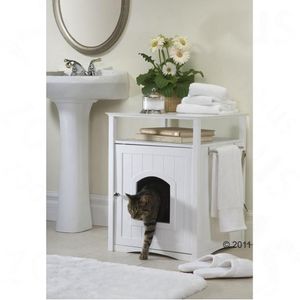 Big Pet Room, puinen