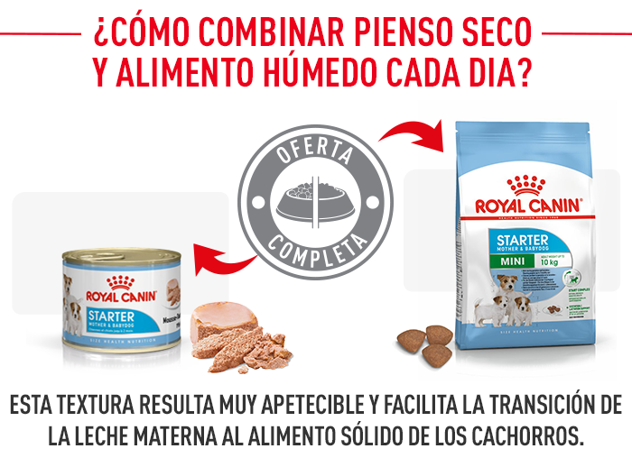 Royal Canin Mini Starter Madre y Cachorro 4