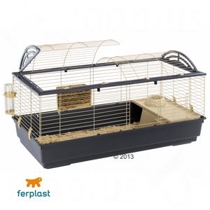 Cage pour lapin et cochon d'Inde Casita 120