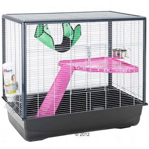 Nouvelle cage : top ou flop ? 331919_savic_nagerkaefig_zeno2_12_2012_8
