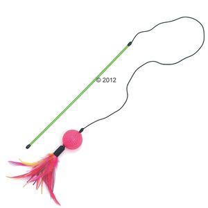 Canna da pesca con palla