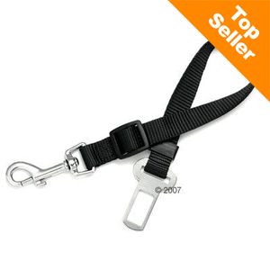 Ceinture de sécurité pour chien