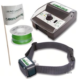 Clôture anti-fugue pour chien avec fil, Canifugue