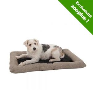 Coussin pour chien Panorama